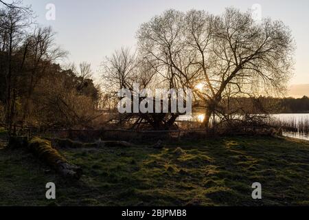 Sonnenuntergang über der Havel in Brandenburg. Stockfoto