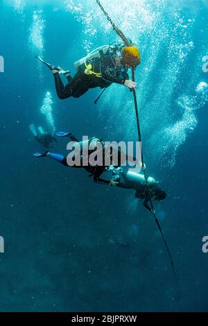 Taucher auf tropischem türkisfarbenem Wasser Hintergrund halten ein Seil