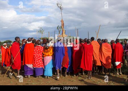 Stammestanz bei einer Maasai-Zeremonie Maasai ist eine ethnische Gruppe von halbnomadischen Menschen, die in Tansania fotografiert wurden Stockfoto
