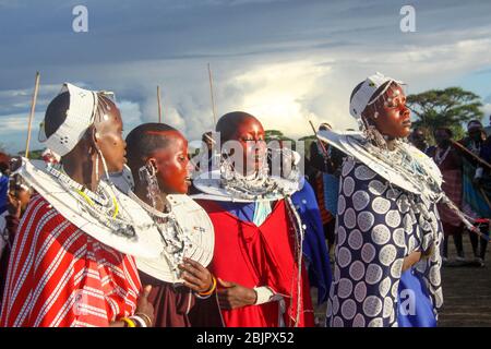 Maasai Frauen in voller traditioneller Party-Outfit, tragen Maasai Schmuck. Maasai ist eine ethnische Gruppe von halbnomadischen Menschen, die in Tansania fotografiert wurden Stockfoto