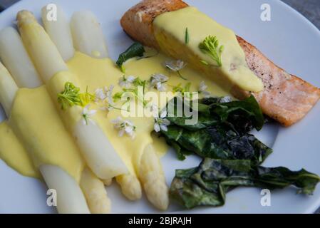 Essen auf einem Teller: Gebratener Lachs, weißer Spargel und Mangold mit Hollandaise-Sauce und mit rosa Knoblauchblüten gekleidet Stockfoto