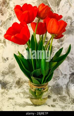 Rote Tulpen in Vase auf Betongrund Stockfoto