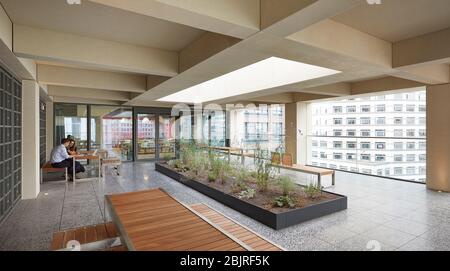 Obere Ebene Terrasse mit Garten. 25 Cabot Square, London, Großbritannien. Architekt: Carmody Groarke, 2019. Stockfoto