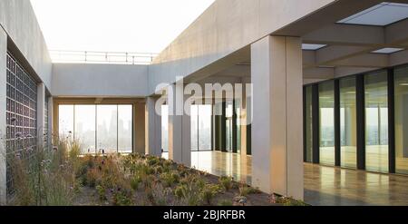 Obere Ebene Terrasse mit Garten. 25 Cabot Square, London, Großbritannien. Architekt: Carmody Groarke, 2019. Stockfoto