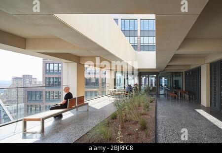 Obere Ebene Terrasse mit Garten. 25 Cabot Square, London, Großbritannien. Architekt: Carmody Groarke, 2019. Stockfoto