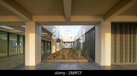 Obere Ebene Terrasse mit Garten. 25 Cabot Square, London, Großbritannien. Architekt: Carmody Groarke, 2019. Stockfoto