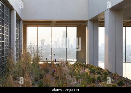 Obere Außenterrasse mit Garten und Blick auf die Stadt. 25 Cabot Square, London, Großbritannien. Architekt: Carmody Groarke, 2019. Stockfoto