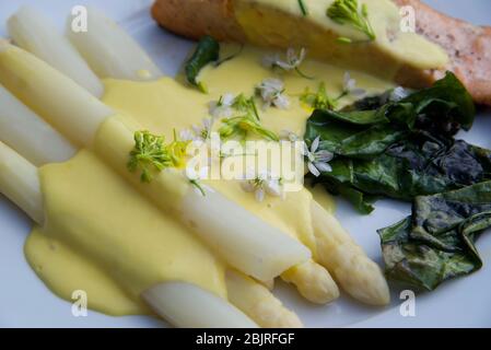 Essen auf einem Teller: Gebratener Lachs, weißer Spargel und Mangold mit Hollandaise-Sauce und mit rosa Knoblauchblüten gekleidet Stockfoto