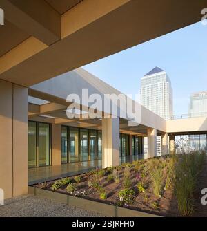 Obere Ebene Terrasse mit Garten in der Dämmerung mit 1 Canada Square. 25 Cabot Square, London, Großbritannien. Architekt: Carmody Groarke, 2019. Stockfoto