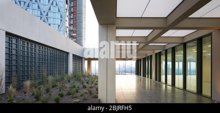 Obere Ebene Terrasse mit Garten. 25 Cabot Square, London, Großbritannien. Architekt: Carmody Groarke, 2019. Stockfoto