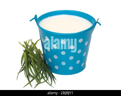 Metalleimer mit Milch auf weißem Hintergrund Stockfoto