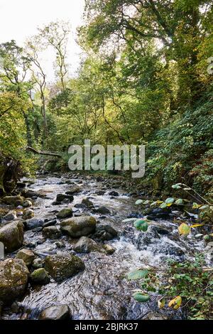 Afon Goch (der rote Fluss) im Aber Valley, North Wales, Großbritannien Stockfoto