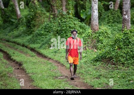 Pentercost, Vanuatu : grüner, üppiger Regenwald, melanesischer Mann auf der Straße Stockfoto