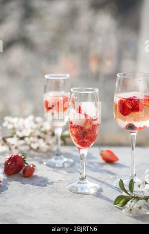 Rosa Cocktail mit Champagner oder Prosecco und frischen Himbeeren zum Valentinstag. Stockfoto