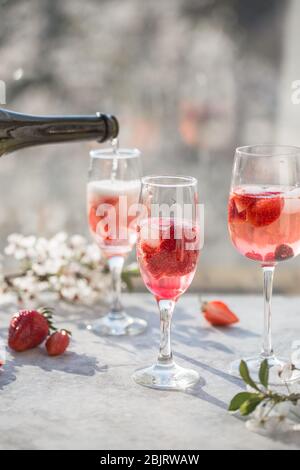 Rosa Cocktail mit Champagner oder Prosecco und frischen Himbeeren zum Valentinstag. Stockfoto