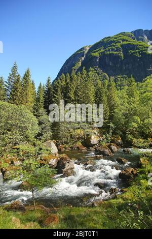 Schöne Landschaft entlang der Bergwanderung zum See Myrdalsvatnet & Bondhus See, in der Nähe von Rosendal, Folgefonna Nationalpark, Norwegen. Stockfoto