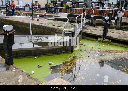 LONDON - 30. SEPTEMBER 2019: Grünalgen und viel Müll schweben auf der Oberfläche des Kanals an einem der Schleusentore von Camden Lock Stockfoto