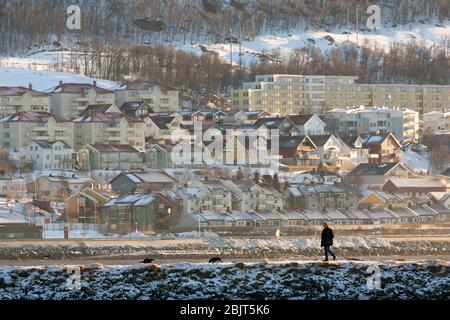 Mann, der Hunde mit Gebäuden im Hintergrund führt, Tromsø, Norwegen Stockfoto