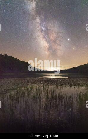 Die Milchstraße fließt über dem Summit Lake der Cranberry Wilderness in West Virginia, Sterne spiegeln sich im Wasser zwischen Grashalmen und Lilie Stockfoto