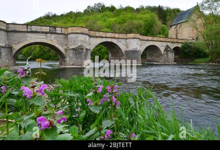 30. April 2020, Thüringen, Creuzburg: Taubnesselblüte an der Werra-Brücke. Die Natursteinbrücke, erbaut 1223, zusammen mit der Brückenkapelle 'S St. Liborius' ist ein denkmalgeschütztes Gebäude. Foto: Martin Schutt/dpa-Zentralbild/dpa Stockfoto