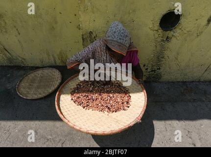 Guwahati, Assam, Indien. April 2020. Eine Frau, die während der landesweiten Sperrung nach der Coronavirus-Pandemie in Guwahati auf einer Straße Hülsenfrüchte sortiert. Kredit: David Talukdar/ZUMA Wire/Alamy Live News Stockfoto