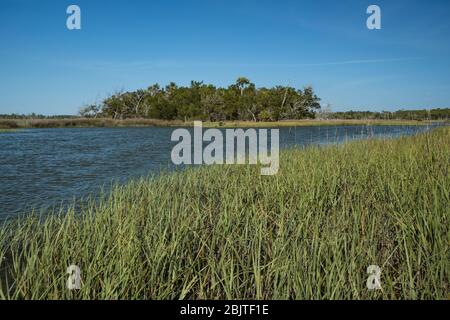 Florida Salt Marsh. Golfküste in der Nähe von Yankeetown, Florida. Landschaftlich schöne Küstentiden Salzsumpf mit Rush, Gras, Bäume. Natürliche Florida Küstengemeinschaft. Stockfoto