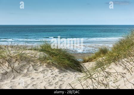 Marram Grass Ammophila arenaria wächst auf dem Sanddünensystem mit Blick auf einen menschenleeren Fistral Beach in Newquay in Cornwall. Stockfoto