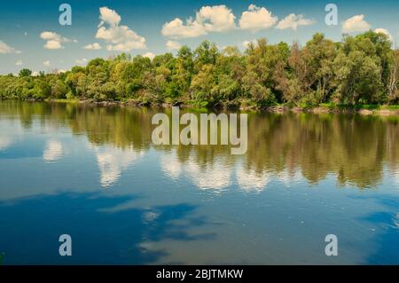 Schöne Landschaft, Sommer, der Bug Fluss fließt zwischen Feldern und Wäldern mit blauem Himmel und weißen Wolken. Polen im Sommer Stockfoto