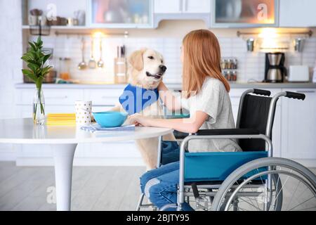 Service Hund in der Nähe Mädchen im Rollstuhl drinnen Stockfoto