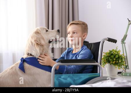 Junge im Rollstuhl mit Diensthund drinnen Stockfoto