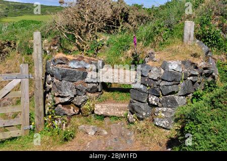 Stille neben einem Tor auf dem Küstenpfad bei Lower Predannack Cliff auf der Lizard Halbinsel, Cornwall.UK Stockfoto