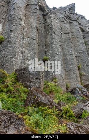 Die Gerðuberg-Klippen (Gerduberg) sind eine Klippe aus Dolerit, einem grobkörnigen Basaltgestein, das sich auf der westlichen Halbinsel Snæfellsnes, Island, befindet. Stockfoto