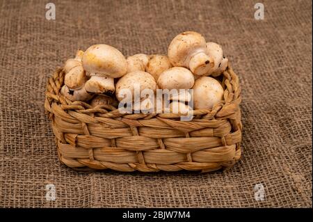 Junge Pilze in einem Weidenkorb auf einem Hintergrund aus grobem Homespun-Stoff. Nahaufnahme Stockfoto