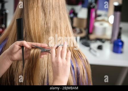 Professionelle friseur Haare schneiden des Kunden in Beauty Salon Stockfoto