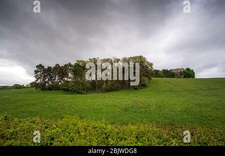 Kleine Waldlandschaft mit Bäumen auf einem Hügel Stockfoto