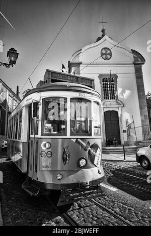 Die Trolleys fahren entlang der Largo Santa Luzia, während sie an der katholischen Kirche Igreja de Santa Luzia im Stadtteil Alfama in Lissabon, Portugal, vorbeifahren. Stockfoto