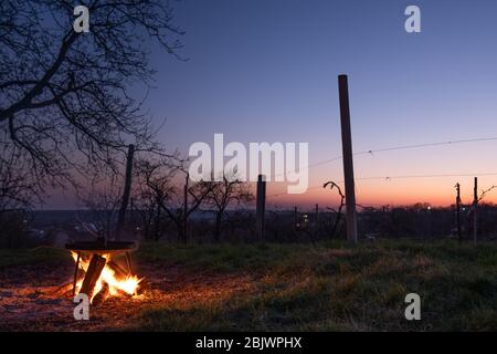 Hinterhof Feuerstelle in der Nacht warme Flammen und Licht im Dunkeln Stockfoto