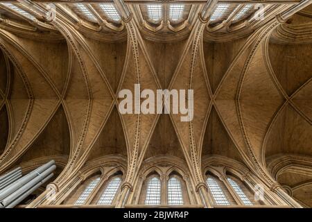 Blick auf die Decke in der Truro Kathedrale in Cornwall Stockfoto