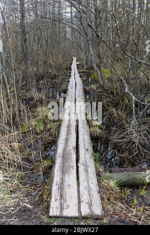 Wassertafel über Feuchtgebiet auf dem Hanikka Naturwanderweg in Espoo, Finnland Stockfoto