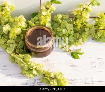 Ein Glas Schokoladenhonig auf weißem Hintergrund mit grünen Zweigen. Freier Speicherplatz. Stockfoto