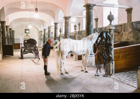 20. Februar 2019. Königlicher Stall in Dänemark Kopenhagen auf dem Territorium Christiansborg Slot. Mann, der einen prächtigen Pferdeschwanz kämmt. Mann, der im Gestüt arbeitet Stockfoto