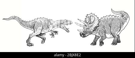 Dinosaurier kämpfen. Allosaurus gegen Triceratops. Dino Fight Illustration. Stockfoto