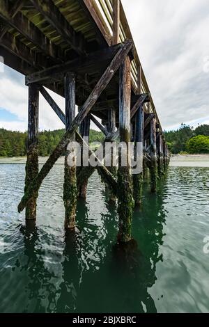 Dock auf Bowman Bay in Deception Pass State Park, Fidalgo Island, Washington State, USA Stockfoto