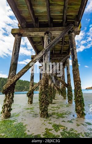 Dock auf Bowman Bay in Deception Pass State Park, Fidalgo Island, Washington State, USA Stockfoto