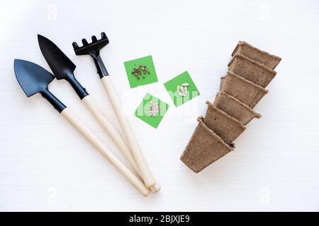 Gartenarbeit zu Hause. Anbau von Lebensmitteln auf Fensterbank. Werkzeuge, Samen, Torftöpfe und Pressboden für Sämlinge. Draufsicht. Flatlay auf weißem Holzhintergrund. Stockfoto