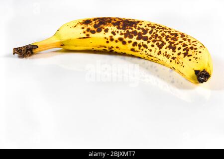 Einzelne reife Bio-gelbe Banane mit braunen Flecken auf weißem Hintergrund mit Reflexions- und Kopierraum Stockfoto