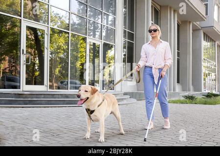 Junge blinde Frau mit Hund im Freien Stockfoto