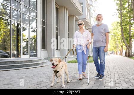 Blinde Frau mit ihrem Vater und Hund im Freien Stockfoto