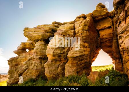 Caiplie Caves, oder Coves, Felsformationen entlang der Nordsee auf dem Fife Coastal Path, Crail, Schottland, Europa Stockfoto