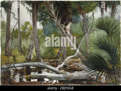 - im Dschungel, Florida - Winslow Homer - insgesamt. Stockfoto